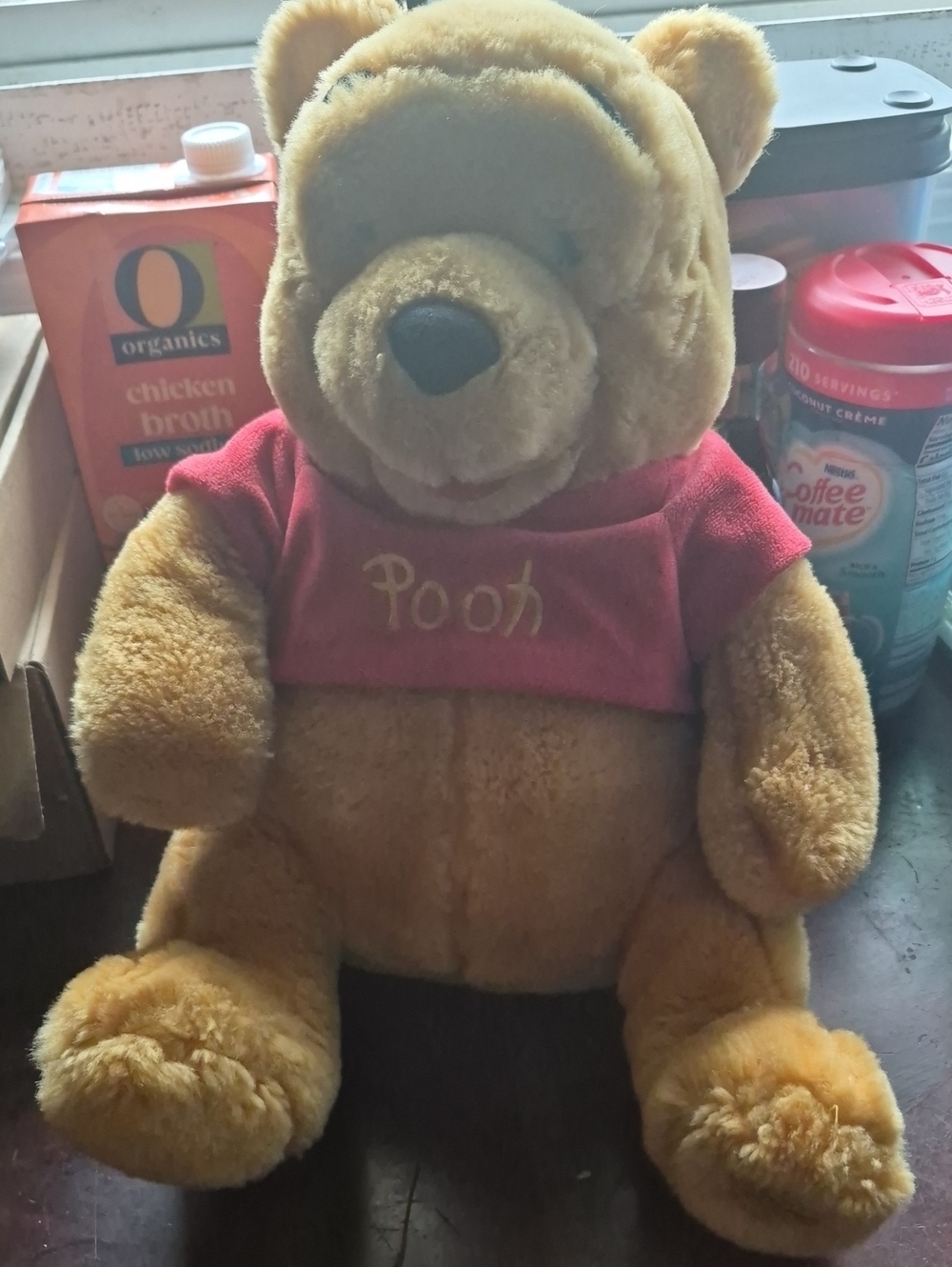Disney Winnie the Pooh Plush Bear with Red Shirt